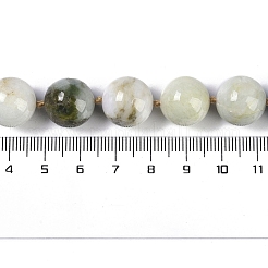 Natural Jabe Beads Beads Strands&nbsp;G-Q164-G04-01