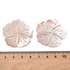 Natural Freshwater Shell Carved Beads&nbsp;SH-CBACA76-07