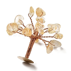 Natural Citrine Chips Display Decorations&nbsp;G-Z016-13B