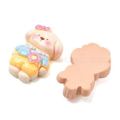 Opaque Resin Cabochons&nbsp;RESI-F072-09