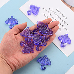 Transparent Acrylic Pendants&nbsp;TACR-T024-01B-936