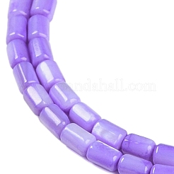 Natural Freshwater Shell Beads Strands&nbsp;BSHE-H109-17C