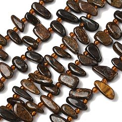 Natural Bronzite Beads Strands&nbsp;G-Z130-A02-01