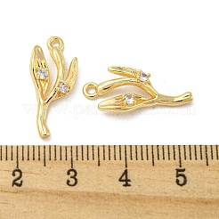 Brass Micro Pave Clear Cubic Zirconia Pendant&nbsp;KK-H460-22G