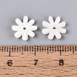 Natural Trochus Shell Beads&nbsp;SHEL-Q028-05
