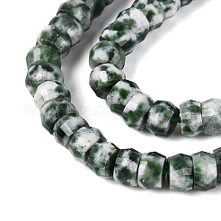 Natural Green Spot Jasper Beads Strands&nbsp;G-Q606-46A-07