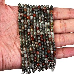Natural African Bloodstone Beads Strands&nbsp;G-A260-A38-01