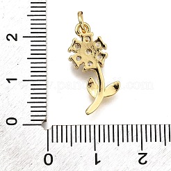 Rack Plating Brass Micro Pave Cubic Zirconia Pendants&nbsp;KK-K401-50B-G