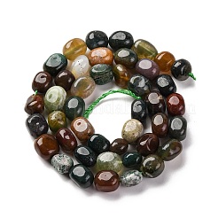 Natural Indian Agate Beads Strands&nbsp;G-G146-A32-01
