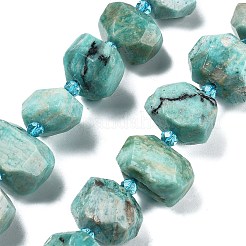 Natural Amazonite Bead Strands&nbsp;G-H038-22