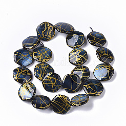 Drawbench Freshwater Shell Beads Strands&nbsp;SHEL-T014-013