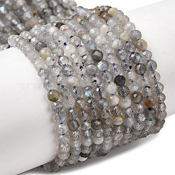 Natural Labradorite Beads Strands&nbsp;G-RM250104-E8