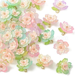 50Pcs 5 Colors Acrylic Charms&nbsp;PALLOY-YW00127