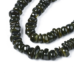 Natural Trochid Shell/Trochus Shell Beads Strands&nbsp;SHEL-S258-081-B01