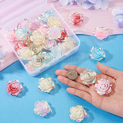30Pcs 6 Colors Luminous Resin Cabochons&nbsp;CRES-TA0001-79
