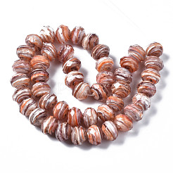 Handmade Lampwork Beads Strands&nbsp;LAMP-T007-13A