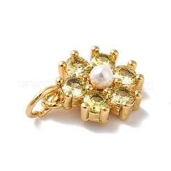 Rack Plating Brass Micro Pave Cubic Zirconia Charms&nbsp;KK-A160-22B-G