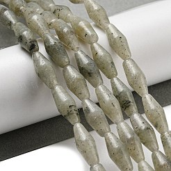 Natural Labradorite Beads Strands&nbsp;G-A223-A04-01