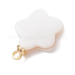 5Pcs 5 Styles Natural Shell Pendants&nbsp;PALLOY-JF04892
