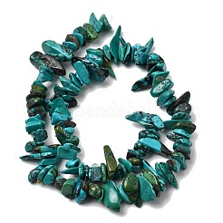 Natural HuBei Turquoise Bead Strands&nbsp;G-H345-A01-12