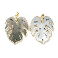 Natural Black Lip Shell Pendants&nbsp;SSHEL-L019-13G
