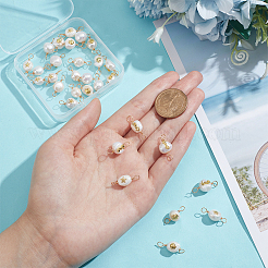 10 Sets Grade AA Natural Cultured Freshwater Pearl Connector Charms with Alloy Slices&nbsp;FIND-DC0003-65
