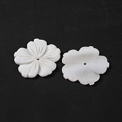 Natural Freshwater Shell Carved Beads&nbsp;BSHE-S304-16
