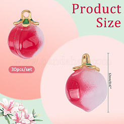 30Pcs Handmade Lampwork Pendants&nbsp;LAMP-ME0001-30