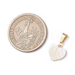 Natural Freshwater Shell Pendants&nbsp;PALLOY-JF05136