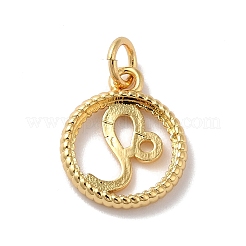 Brass Charms&nbsp;LS-KK-A160-20G-02