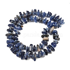 Natural Sodalite Beads Strands&nbsp;GG-CBA3A44-B12-01