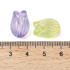 Transparent ABS Acrylic Plastic Beads&nbsp;FIND-B043-02