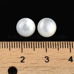 Natural White Shell Cabochons&nbsp;SSHEL-M022-01B