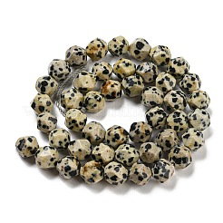 Natural Dalmatian Jasper Beads Strands&nbsp;G-C085-A07-01