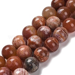 Natural Fire Crackle Agate Beads Strands&nbsp;G-B079-A01-04