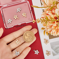 12Pcs 2 Styles Rack Plating Brass Cubic Zirconia Charms&nbsp;ZIRC-BBC0002-73