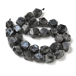 Natural Labradorite Beads Strands&nbsp;GG-CBAF8A8-A05-01