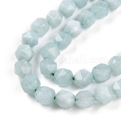 Natural Myanmar Jade/Burmese Jade Beads Strands&nbsp;G-T108-27A-01