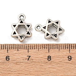 Tibetan Style Alloy Charms&nbsp;FIND-Z099-07AS-01