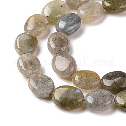 Natural Labradorite Beads Strands&nbsp;G-C238-37