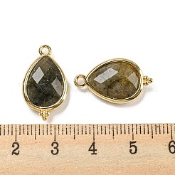 Natural Labradorite Faceted Pendants&nbsp;G-M431-15G-04