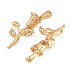 304 Stainless Steel Pendants&nbsp;STAS-P438-39F-G
