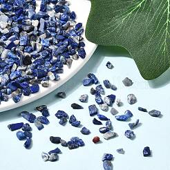 Natural Lapis Lazuli Chip Beads&nbsp;G-L453-05