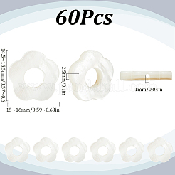 60Pcs Freshwater Shell Beads Frames Strands&nbsp;SHEL-SC0001-50