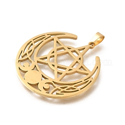 304 Stainless Steel Pendants&nbsp;STAS-S144-05G-C