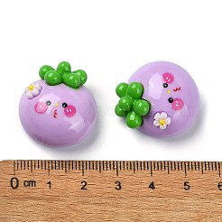 Opaque Resin Decoden Cabochons&nbsp;CRES-M031-06