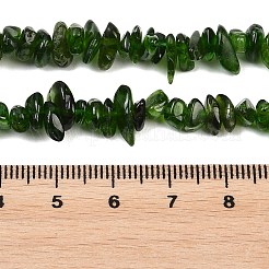 Natural Green Diopside Beads Strands&nbsp;G-P615-B01-01