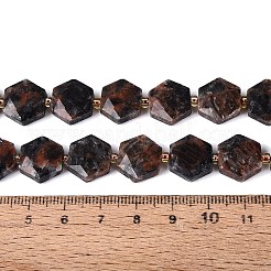 Natural Labradorite Beads Strands&nbsp;G-N368-01A-20