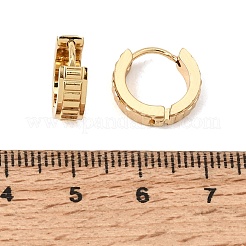 201 Stainless Steel Hoop Earrings&nbsp;SA-CBA4A0D-02G