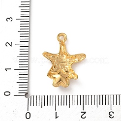304 Stainless Steel Acrylic Pendants&nbsp;STAS-B139-04G-02